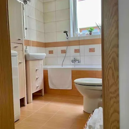 Miejska Oaza Apartment *