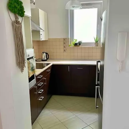 Miejska Oaza Apartment *